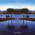 Bruce Dickinson - Skunkworks ((Vinyl))
