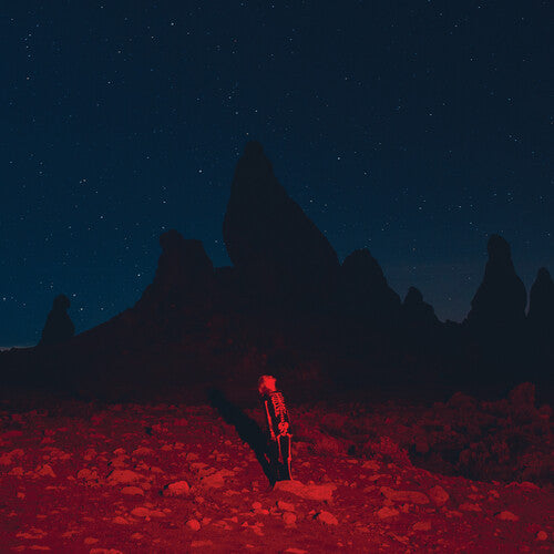 Phoebe Bridgers - Punisher ((Vinyl))