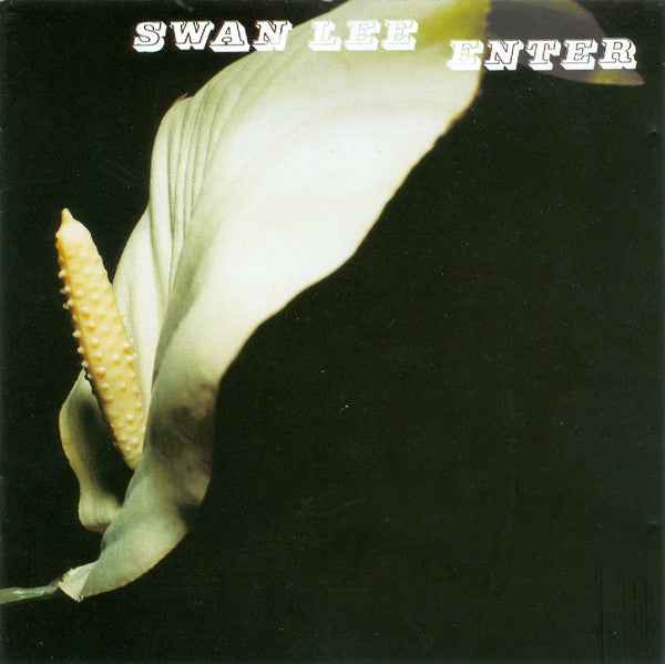Swan Lee ??Enter