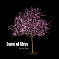 Sound Of Shiva - Spring Tapes