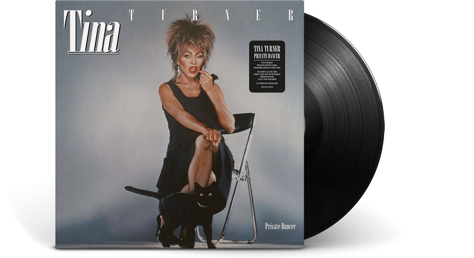 Turner, Tina ?Private Dancer