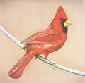 Alexisonfire - Old Crows / Young Cardinals  (New Vinyl LP)