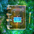 Anamanaguchi - USA  (New Vinyl LP)