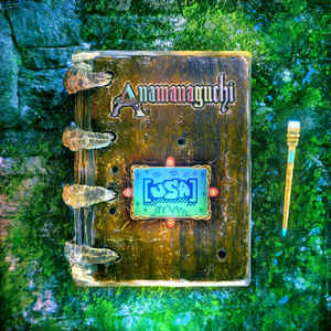 Anamanaguchi - USA  (New Vinyl LP)