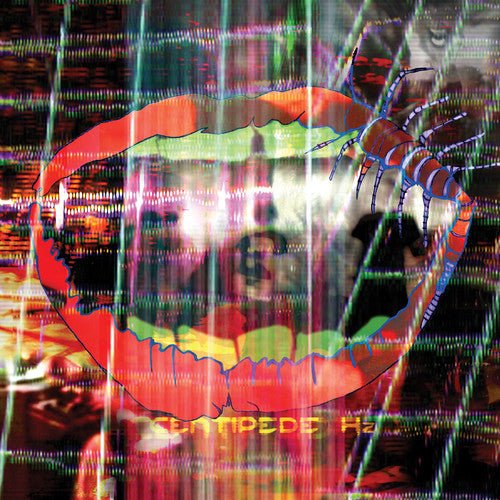Animal Collective - Centipede HZ  (New Vinyl LP)
