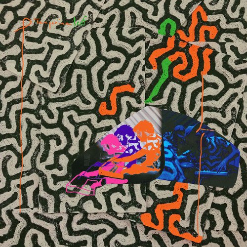 Animal Collective - Tangerine Reef  (New Vinyl LP)
