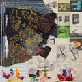 Animal Collective - Time Skiffs  (New Vinyl LP)