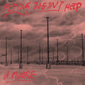 Anthony Moore - Flying Doesn't Help ((Vinyl))
