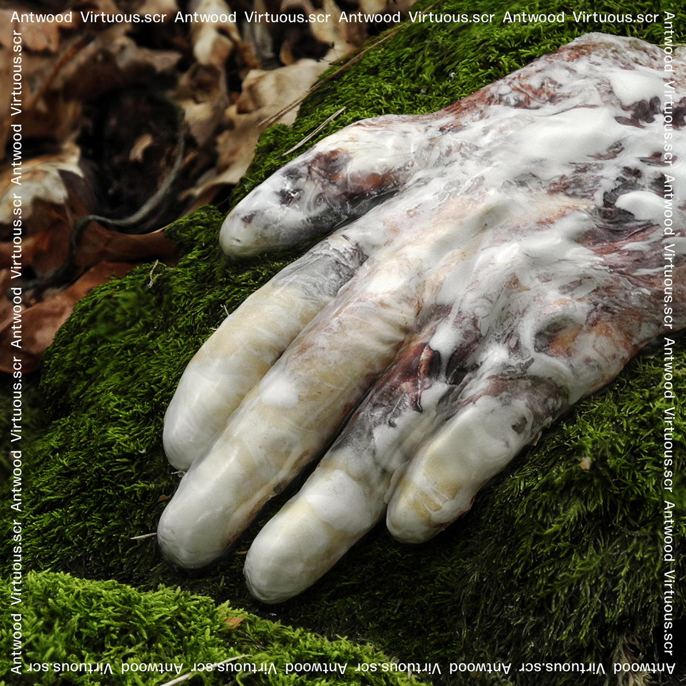 Antwood - Virtuous.scr ((Vinyl))