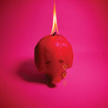Arcade Fire - Pink Elephant (Gatefold Jacket) (64 page booklet) ((Vinyl))