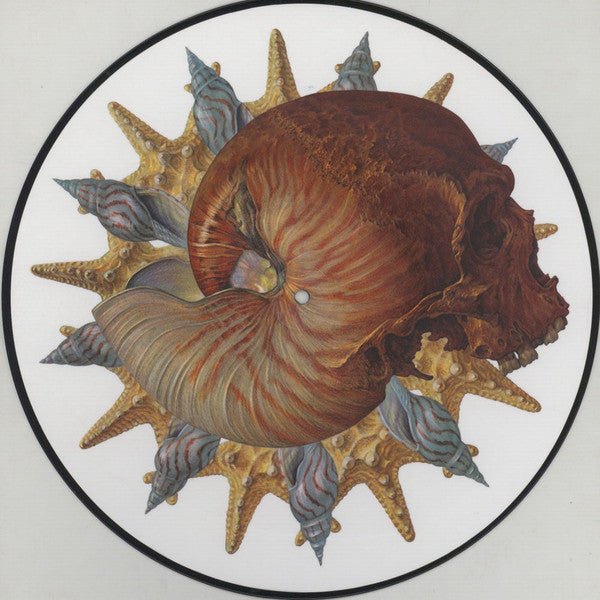 Baroness - Morning Star 12" - [Indie Exclusive Picture Disc]  (New Vinyl LP)