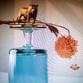 Beirut - Gallipoli  (New Vinyl LP)