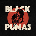 Black Pumas - Black Pumas [White Vinyl]  (New Vinyl LP)