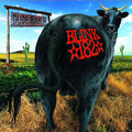 Blink 182 - Dude Ranch  (New Vinyl LP)