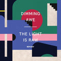 Botany - Dimming Awe / The Light is Raw  (New Vinyl LP)