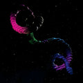 Brogan Bentley - The Snake ((Vinyl))