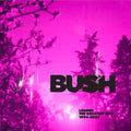 Bush - Loaded: The Greatest Hits 1994-2023 [2xLP Cloudy Clear Vinyl]  (New Vinyl LP)