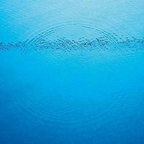 Caribou - Suddenly  (New Vinyl LP)