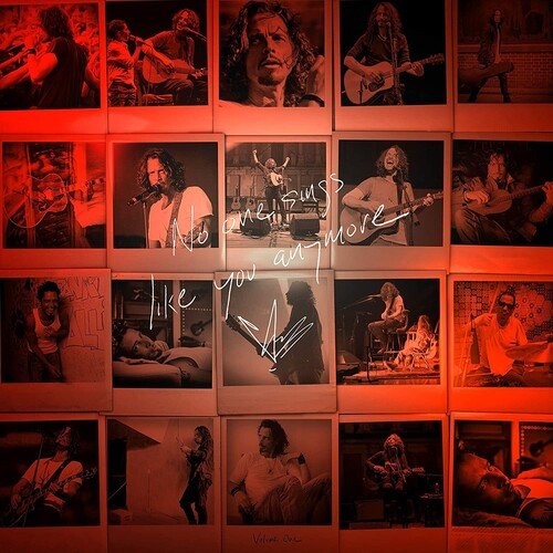 Chris Cornell - No One Sings Like You Anymore  (New Vinyl LP)