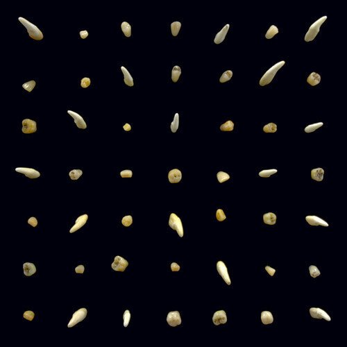 Clipping - Visions Of Bodies Being Burned  (New Vinyl LP)