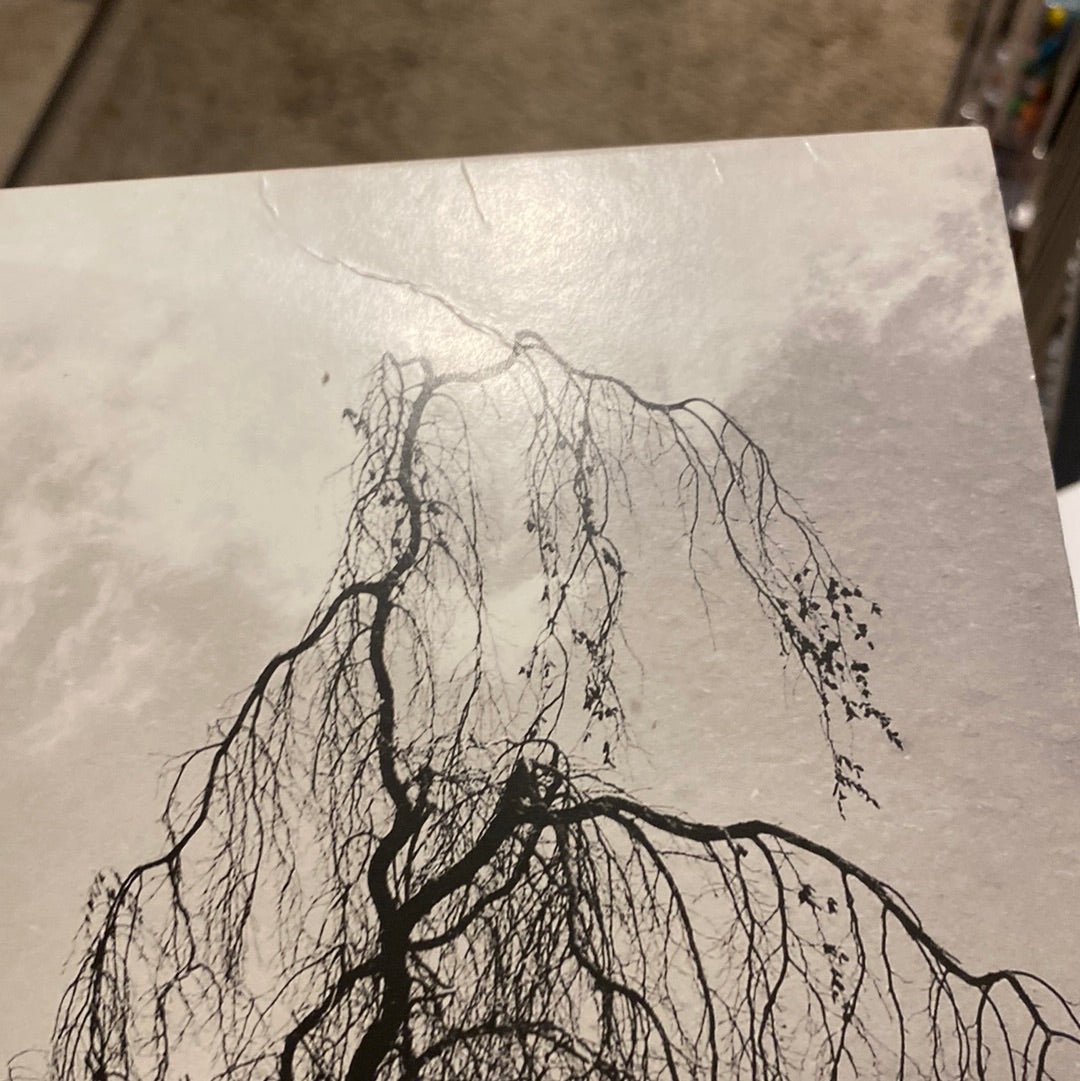 Colin Stetson And Sarah Neufeld - Never Were The Way She Was  (Used Vinyl LP)