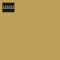 CONRAD SCHNITZLER - Gold ((Vinyl))