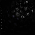Crumb - Ice Melt [Opaque Purple Vinyl]  (New Vinyl LP)