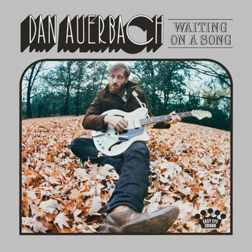Dan Auerbach - Waiting on a Song  (New Vinyl LP)