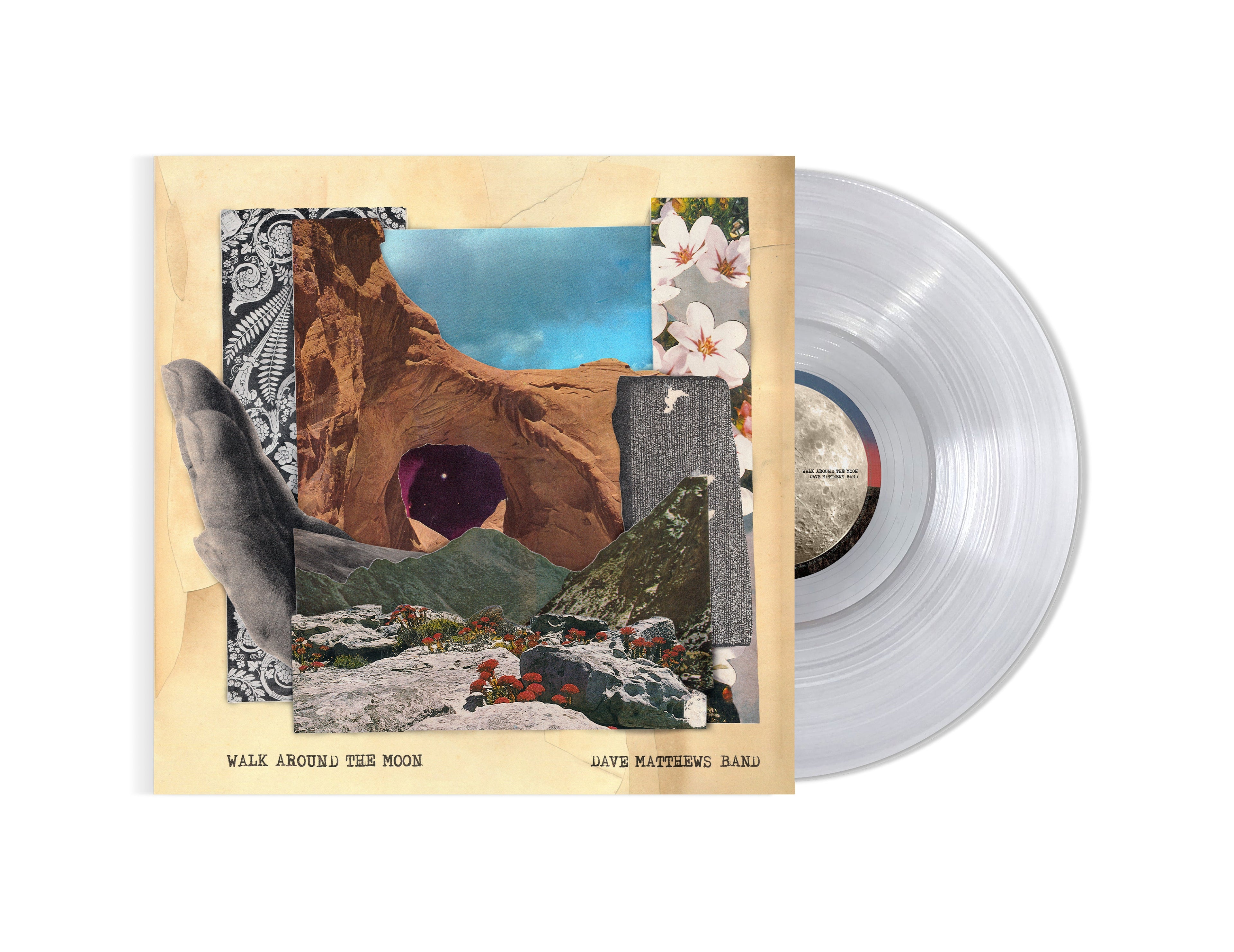Dave Matthews Band - Walk Around The Moon (Clear Vinyl, Indie Exclusive) (())