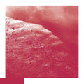 David Allred - The Cell ((Vinyl))