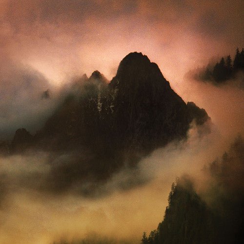 Dead to a Dying World - Elegy  (New Vinyl LP)