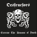 Destructors - Exercise The Demons Of Youth  (New Vinyl LP)