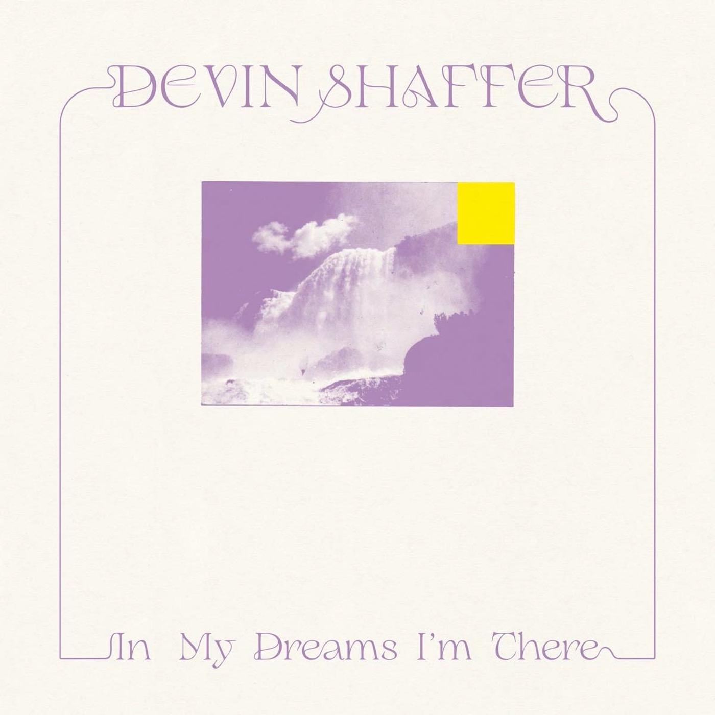 Devin Shaffer - In My Dreams I'm There ((Vinyl))