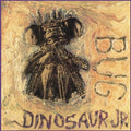 Dinosaur Jr. - Bug  (New Vinyl LP)