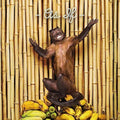 [Discounted] !!! - As If [2xLP]  (New Vinyl LP)