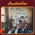 [Discounted] Awolnation - Here Come The Runts  (New Vinyl LP)