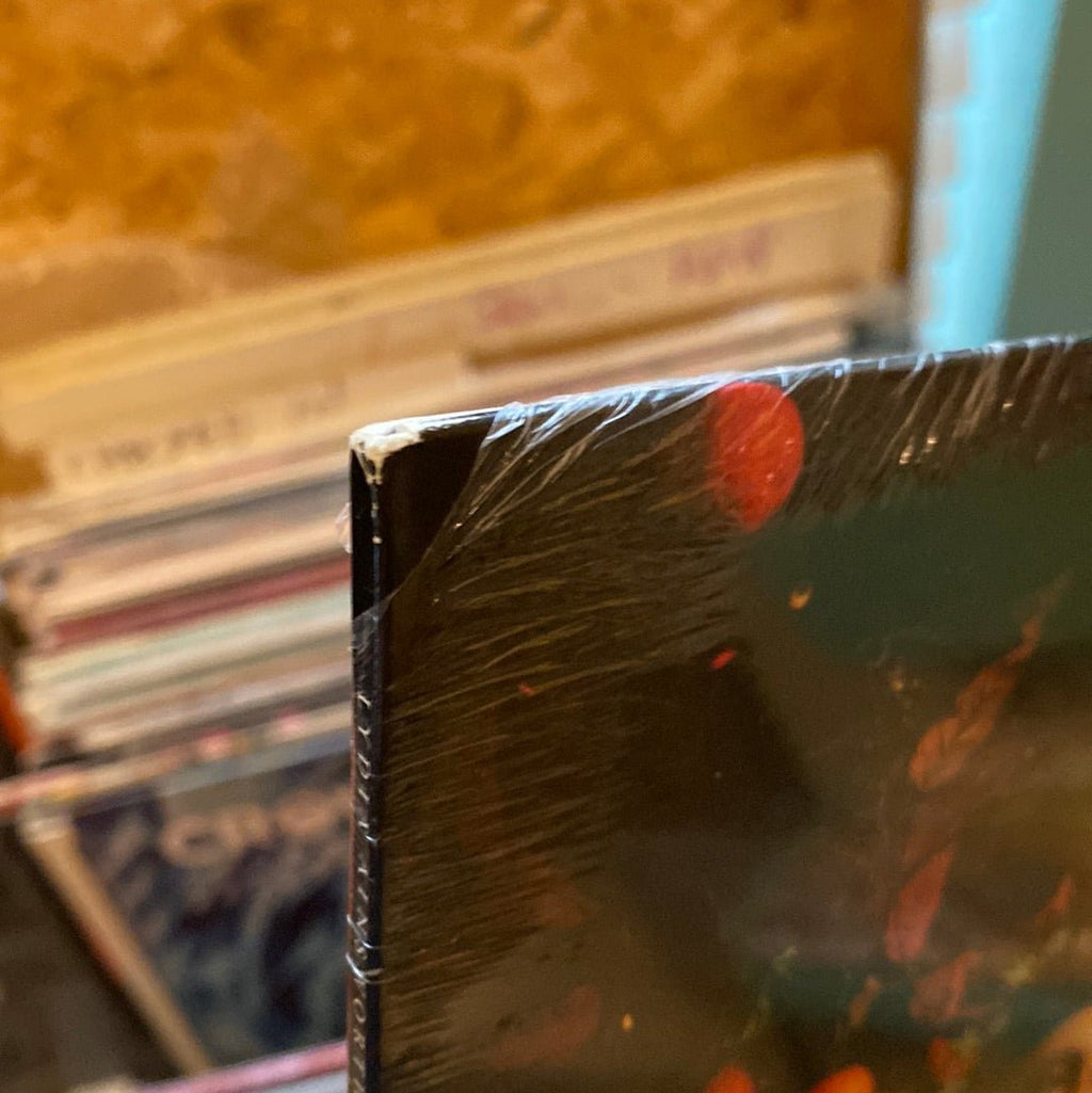 [Discounted] Lydia Ainsworth - Phantom Forrest  (New Vinyl LP)