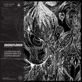 [Discounted] Marissa Nadler & Stephen Brodsky - Droneflower  (New Vinyl LP)