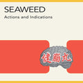 [Discounted] Seaweed - Actions and Indications  (New Vinyl LP)