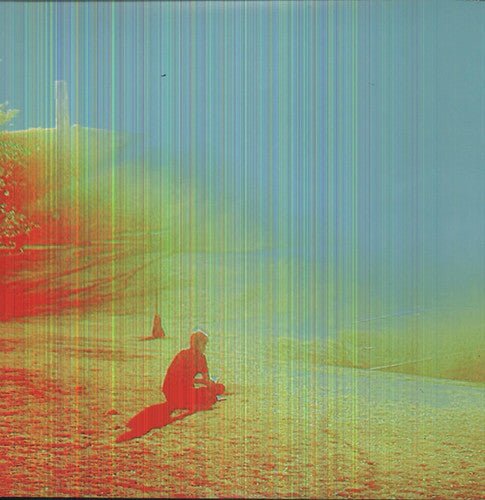 [Discounted] The Flaming Lips - The Terror  (New Vinyl LP)