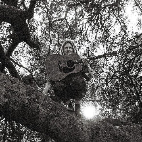 [Discounted] Ty Segall - Hello Hi  (New Vinyl LP)