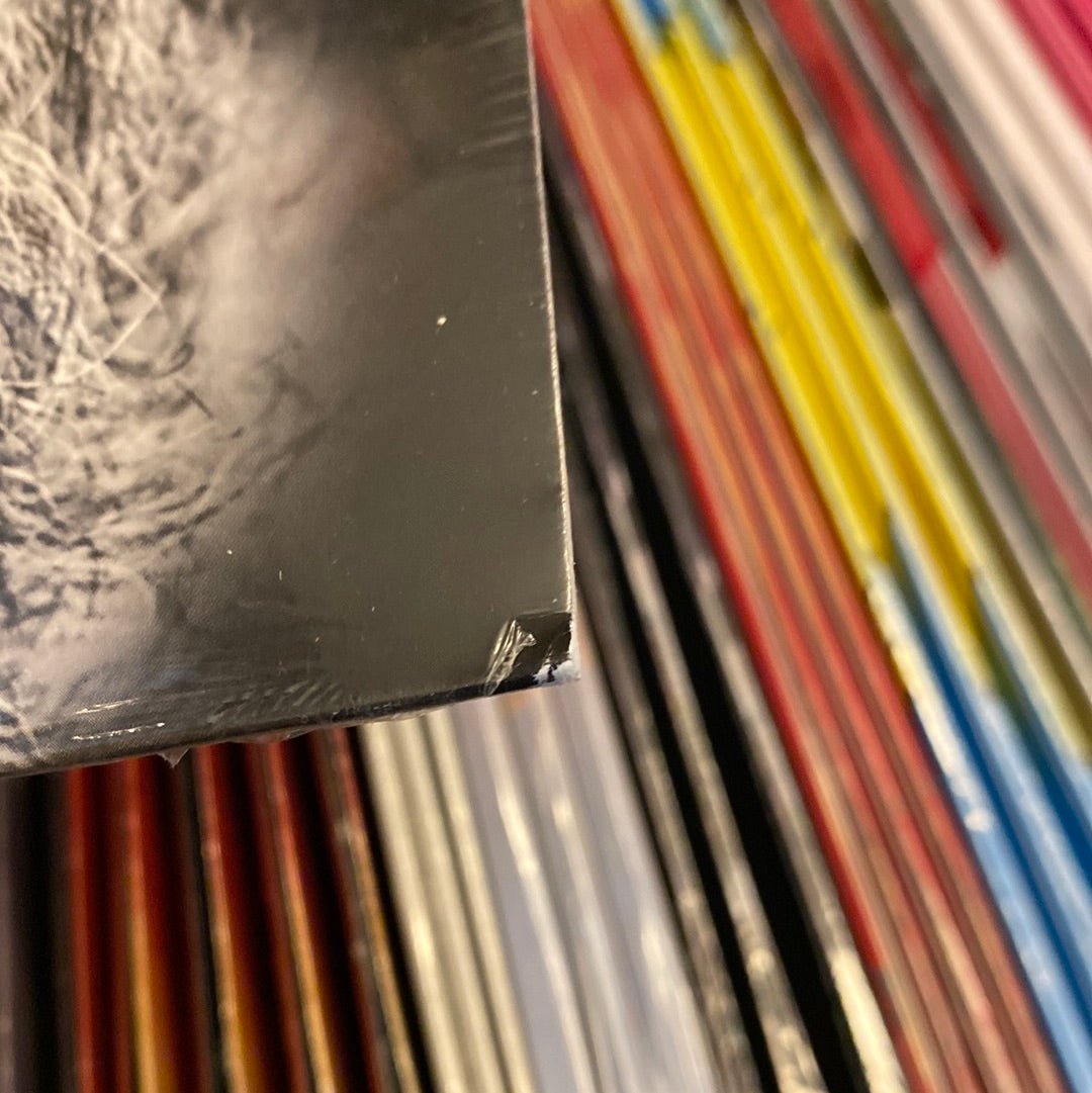 [Discounted] Willie Nile - Children of Paradise  (New Vinyl LP)