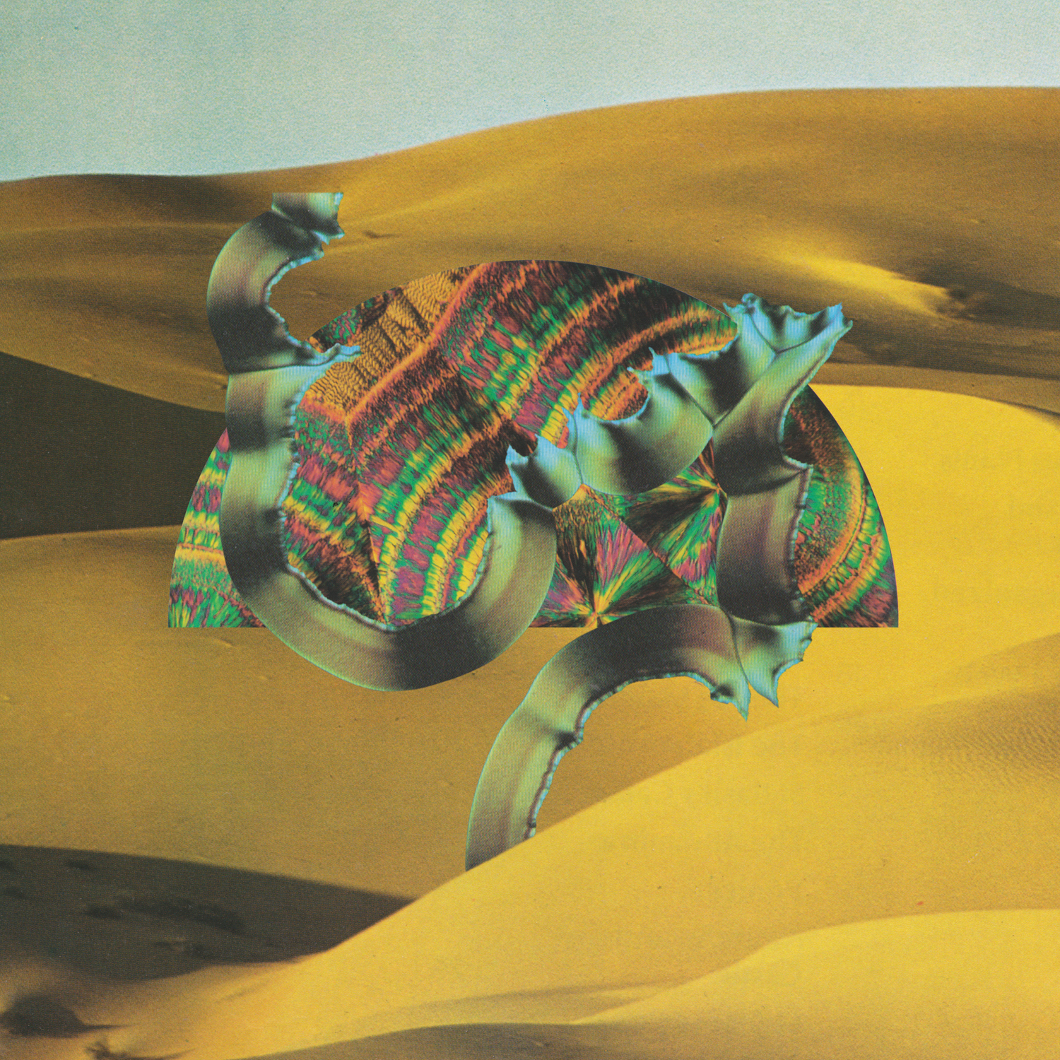 Django Django - Django Django ((Vinyl))