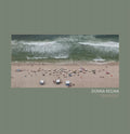 DONNA REGINA - Transient ((Vinyl))