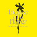 EIKO ISHIBASHI/JIM O'ROURKE - Lifetime of a Flower ((Vinyl))
