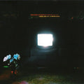 Emeralds - Does It Look Like I'm Here? [Ectoplasm Colored Vinyl]  (New Vinyl LP)