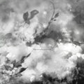Exitmusic - The Recognitions  (New Vinyl LP)