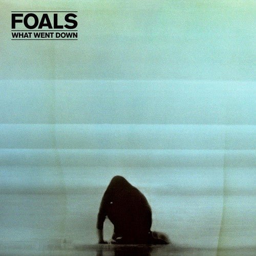 Foals - What Went Down  (New Vinyl LP)