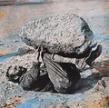 Forest Swords - Compassion [DELUXE] (New Vinyl LP)