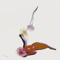 Future Islands - The Far Field  (New Vinyl LP)